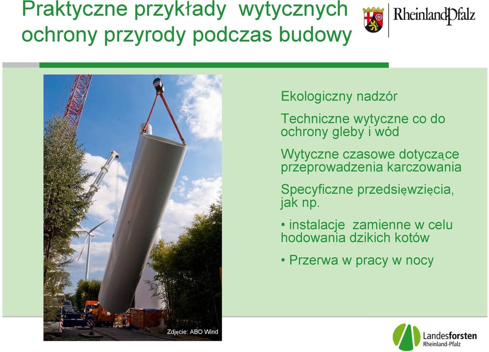 dotyczące przeprowadzenia karczowania Specyficzne przedsięwzięcia, jak np.