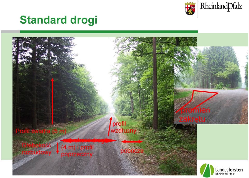 drogi (4 m) i profil poprzeczny