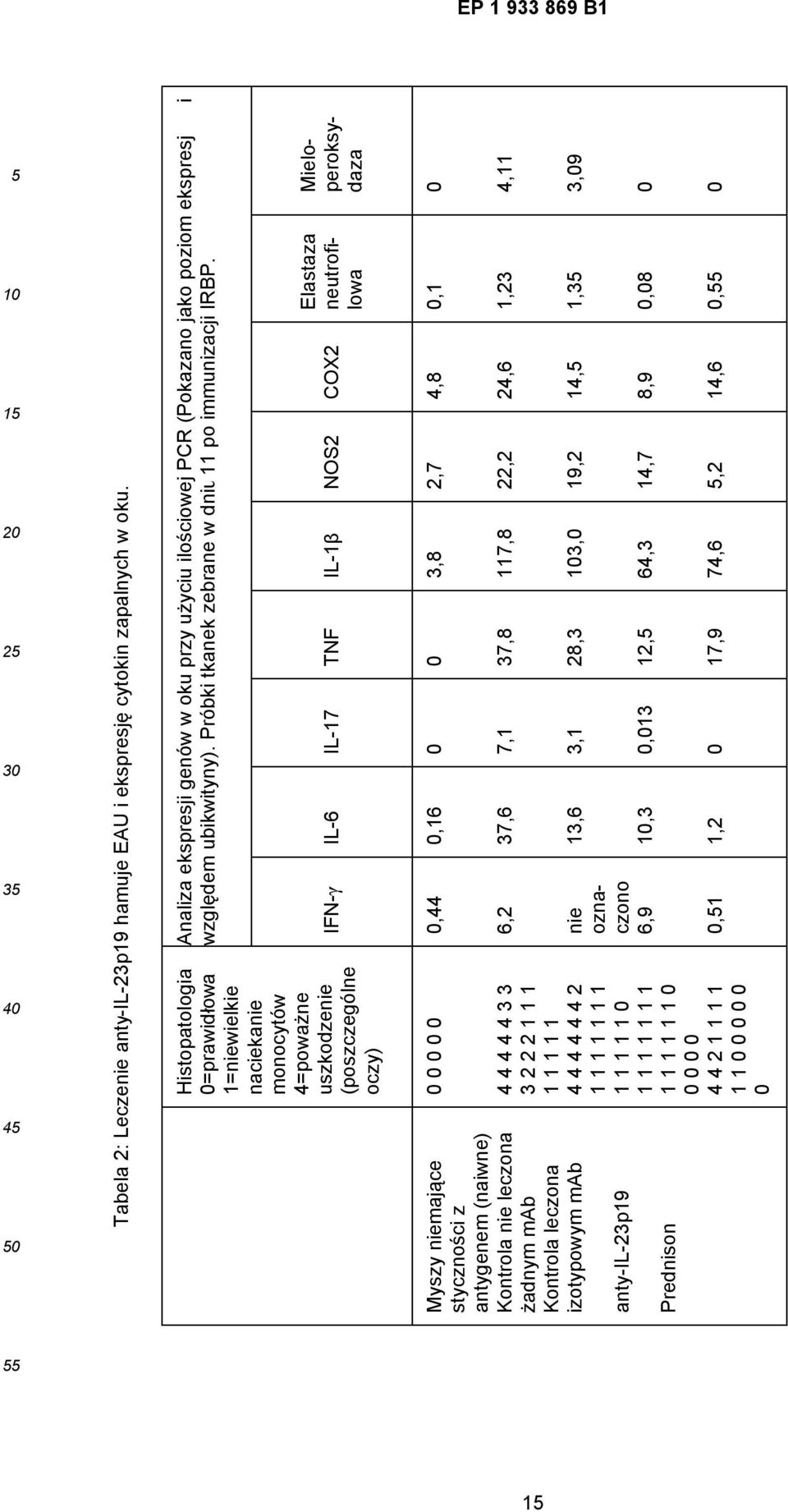 Mieloperoksydaza Elastaza neutrofilowa COX2 NOS2 IL-1β TNF IL-17 IL-6 IFN-γ Histopatologia 0=prawidłowa 1=niewielkie naciekanie monocytów 4=poważne uszkodzenie (poszczególne oczy) 0 0,1 4,8 2,7 3,8 0