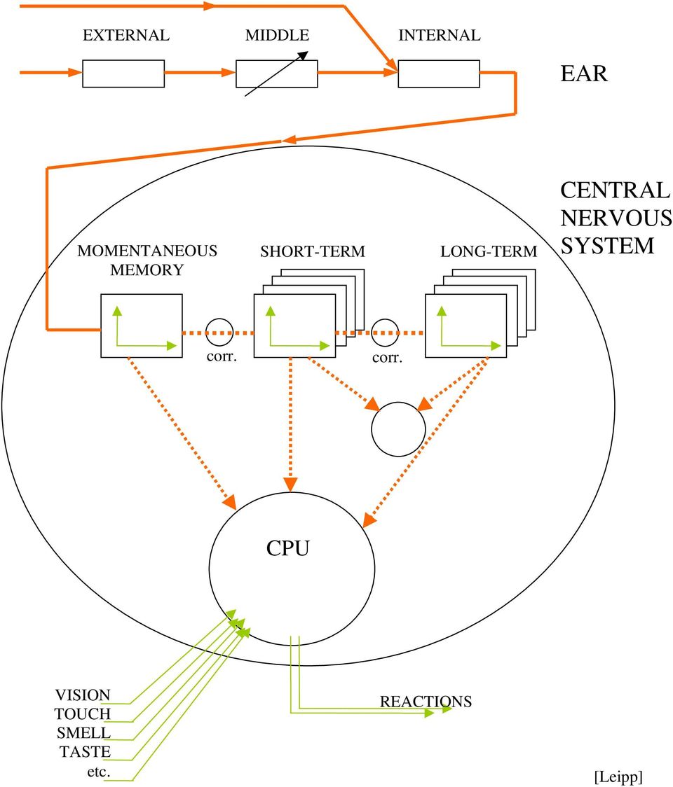 LONG-TERM CENTRAL NERVOUS SYSTEM corr.