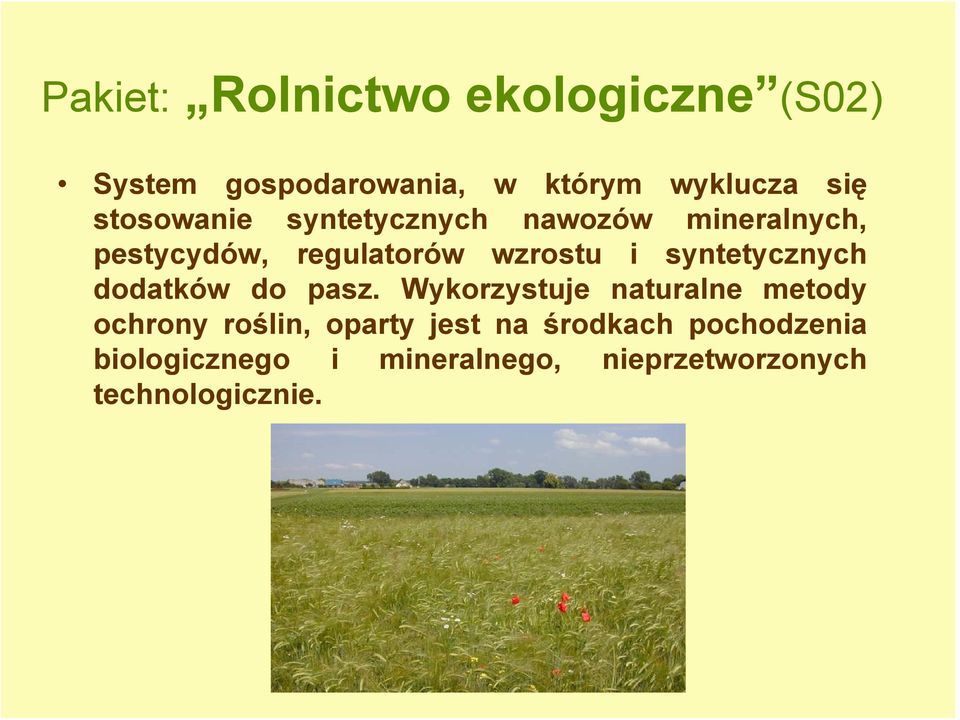 syntetycznych dodatków do pasz.