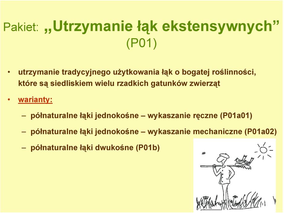 zwierząt warianty: półnaturalne łąki jednokośne wykaszanie ręczne (P01a01)