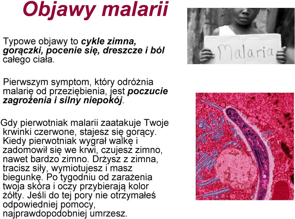 Gdy pierwotniak malarii zaatakuje Twoje krwinki czerwone, stajesz się gorący.