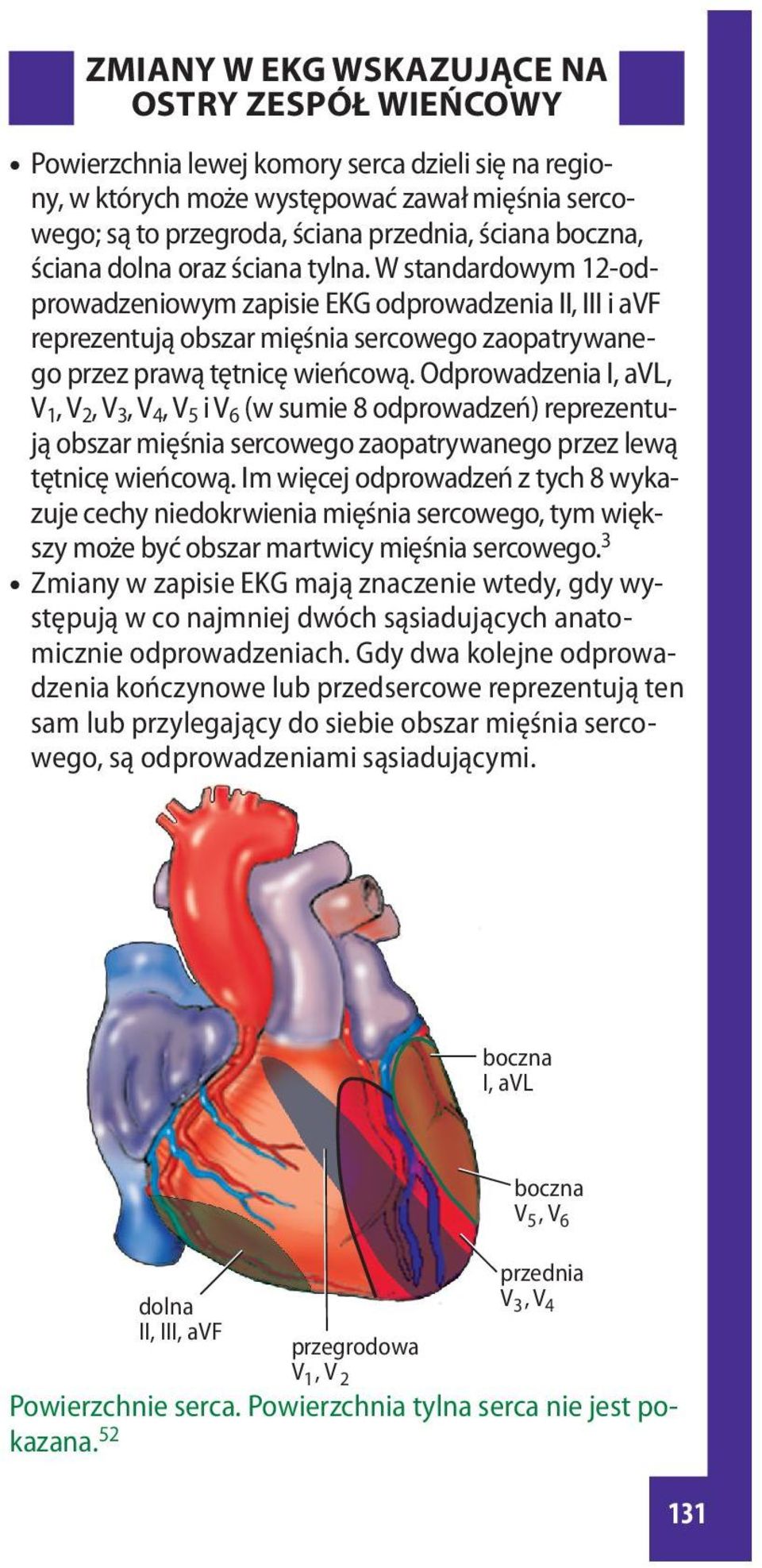 Odprowadzenia I, avl, V 1, V 2, V 3, V 4, V 5 i V 6 (w sumie 8 odprowadzeń) reprezentują obszar mięśnia sercowego zaopatrywanego przez lewą tętnicę wieńcową.