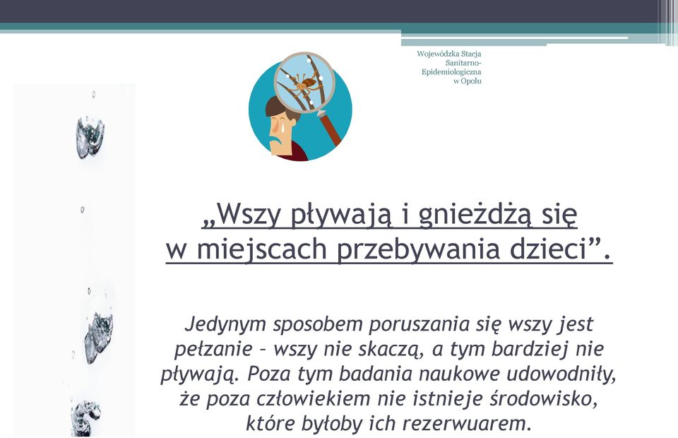 skaczą, a tym bardziej nie pływają.