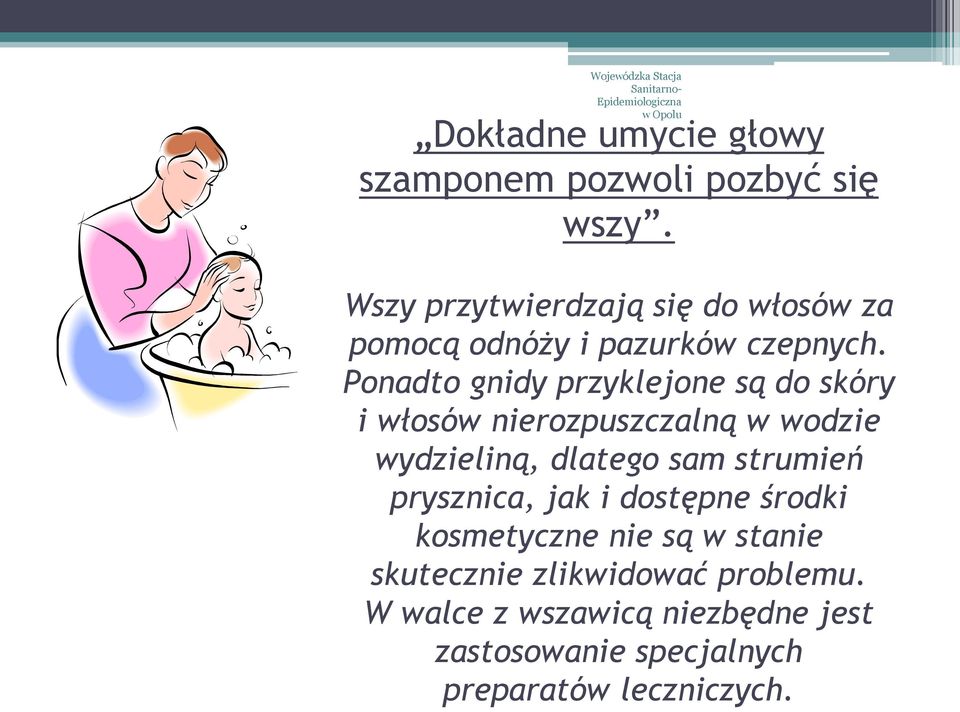 Ponadto gnidy przyklejone są do skóry i włosów nierozpuszczalną w wodzie wydzieliną, dlatego sam