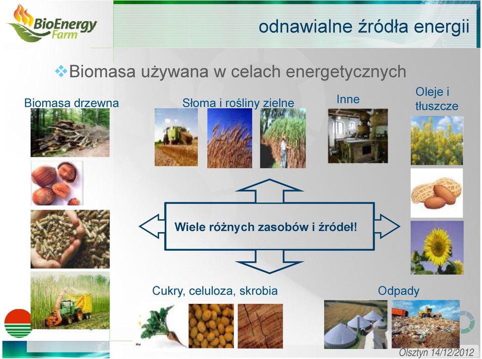 rośliny zielne Inne Oleje i tłuszcze Wiele