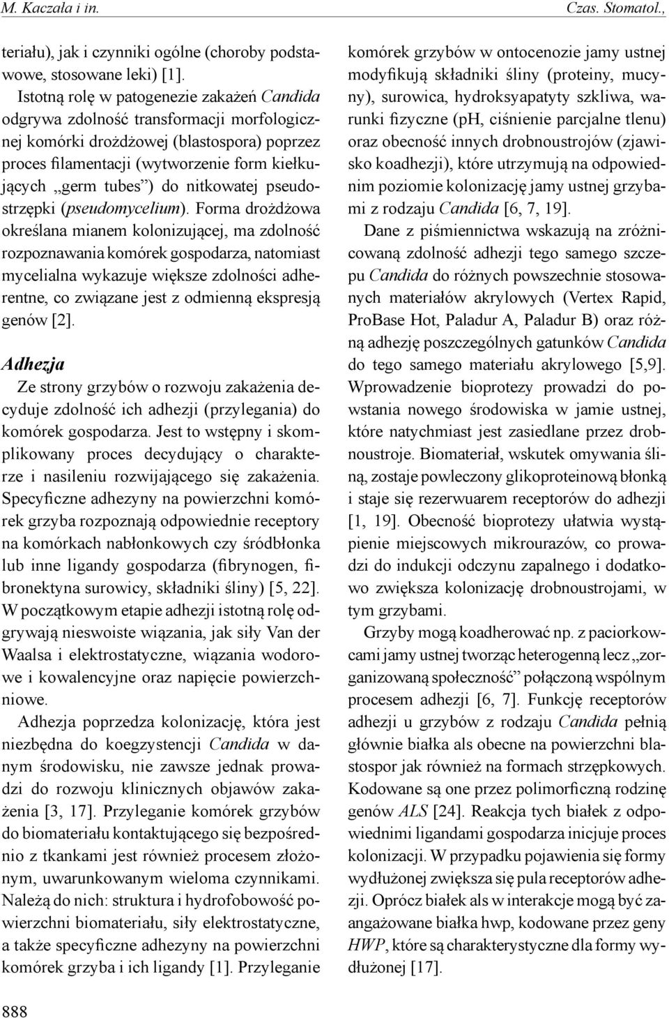 nitkowatej pseudostrzępki (pseudomycelium).