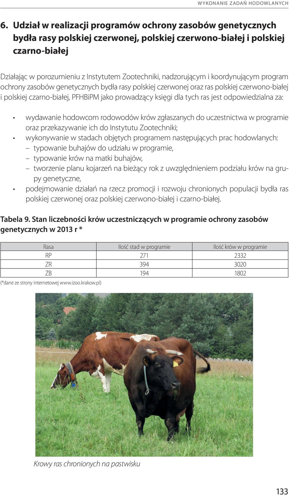 nadzorującym i koordynującym program ochrony zasobów genetycznych bydła rasy polskiej czerwonej oraz ras polskiej czerwono-białej i polskiej czarno-białej, PFHBiPM jako prowadzący księgi dla tych ras