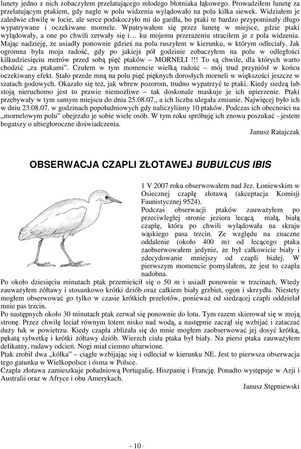 Wpatrywałem się przez lunetę w miejsce, gdzie ptaki wylądowały, a one po chwili zerwały się i ku mojemu przeraŝeniu straciłem je z pola widzenia.