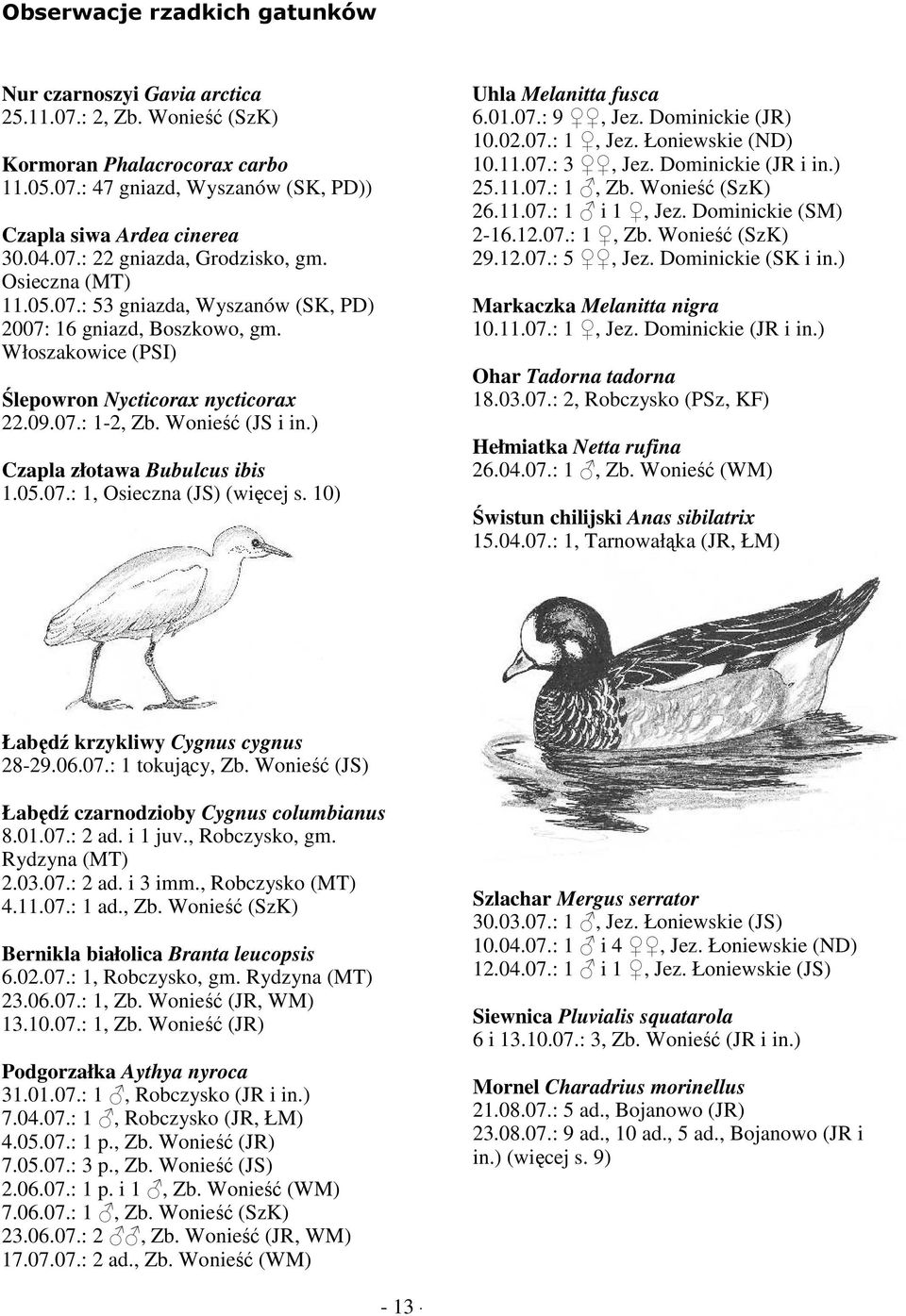 ) Czapla złotawa Bubulcus ibis 1.05.07.: 1, Osieczna (JS) (więcej s. 10) Uhla Melanitta fusca 6.01.07.: 9, Jez. Dominickie (JR) 10.02.07.: 1, Jez. Łoniewskie (ND) 10.11.07.: 3, Jez.