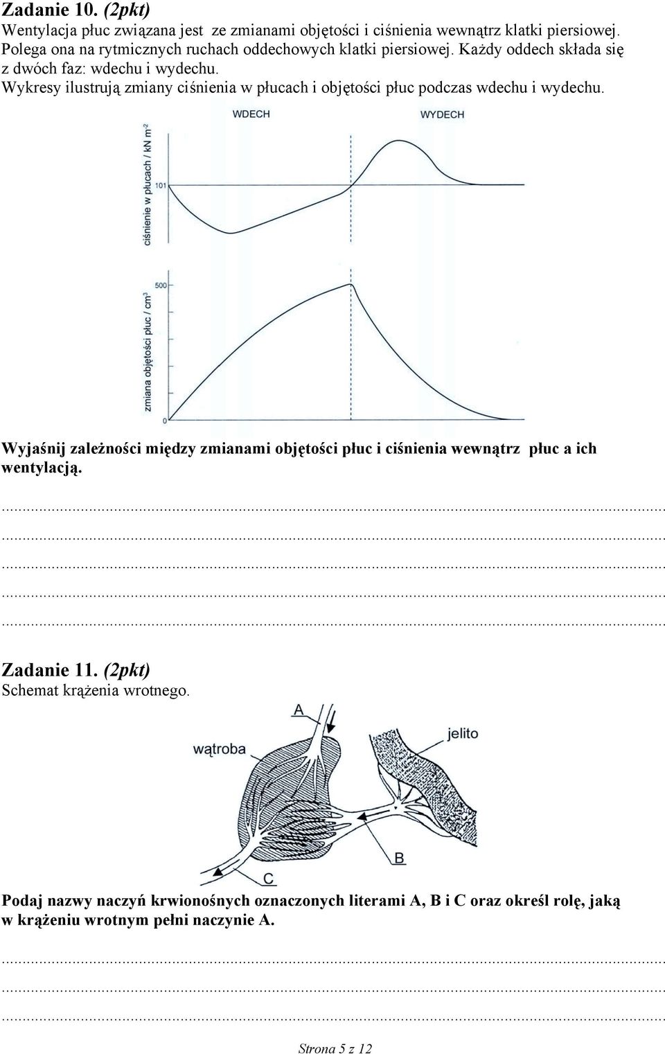 Wykresy ilustrują zmiany ciśnienia w płucach i objętości płuc podczas wdechu i wydechu.