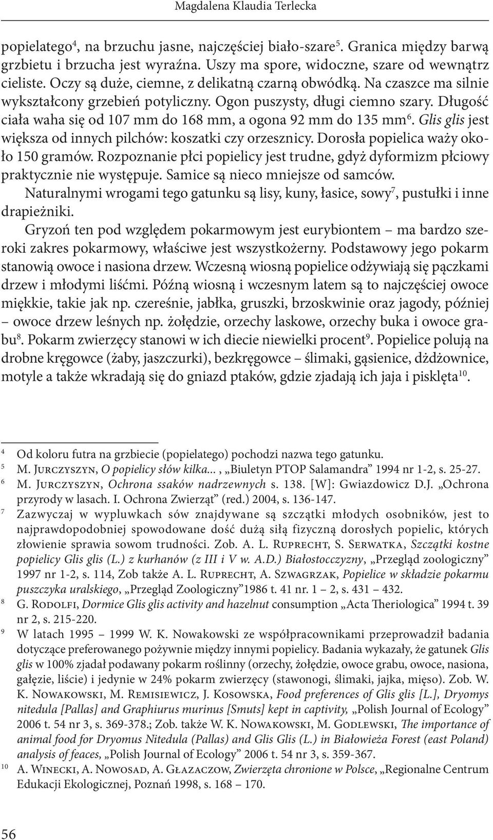 Długość ciała waha się od 107 mm do 168 mm, a ogona 92 mm do 135 mm 6. Glis glis jest większa od innych pilchów: koszatki czy orzesznicy. Dorosła popielica waży około 150 gramów.