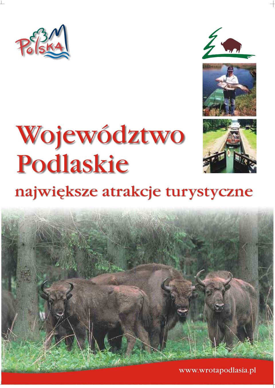 njwiêksze trkcje