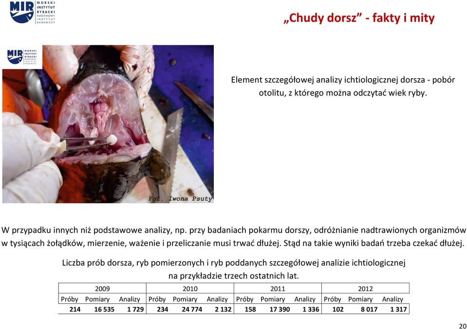 Stąd na takie wyniki badań trzeba czekać dłużej.