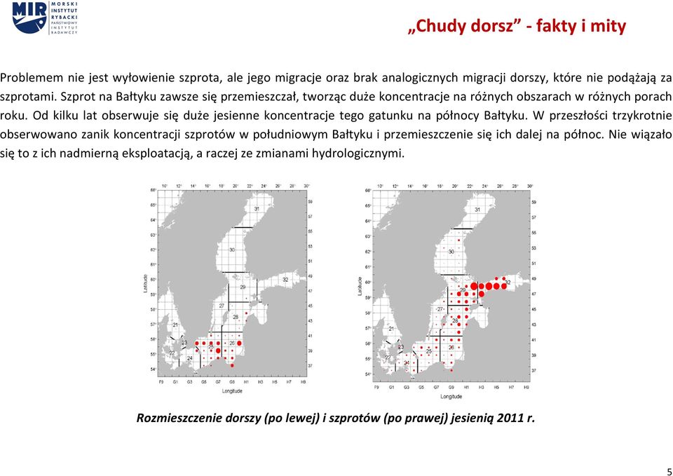 Od kilku lat obserwuje się duże jesienne koncentracje tego gatunku na północy Bałtyku.