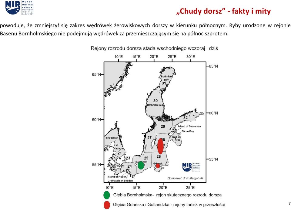 Ryby urodzone w rejonie Basenu Bornholmskiego nie