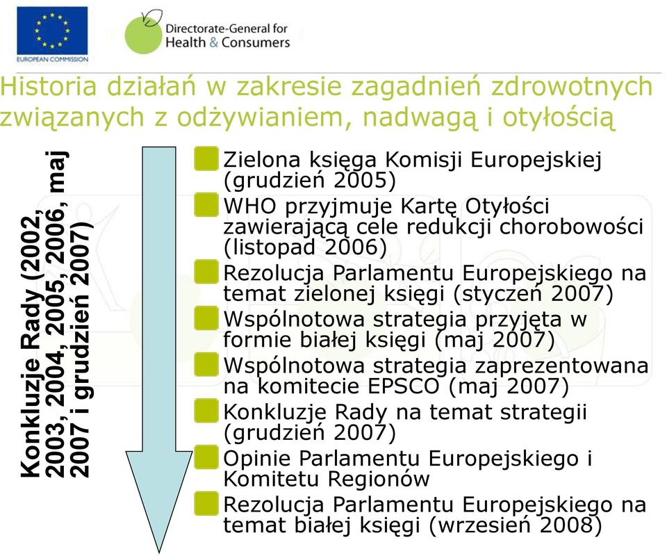 na temat zielonej księgi (styczeń 2007) Wspólnotowa strategia przyjęta w formie białej księgi (maj 2007) Wspólnotowa strategia zaprezentowana na komitecie EPSCO (maj 2007)