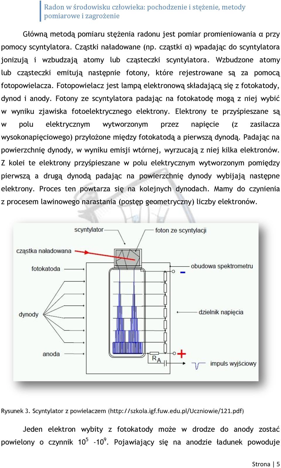 Fotopowielacz jest lampą elektronową składającą się z fotokatody, dynod i anody. Fotony ze scyntylatora padając na fotokatodę mogą z niej wybić w wyniku zjawiska fotoelektrycznego elektrony.