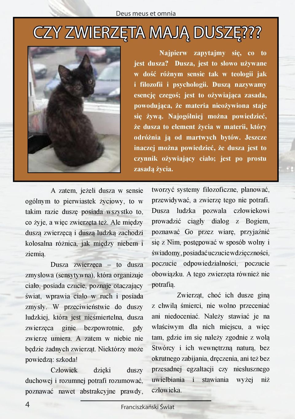 Najogólniej można powiedzieć, że dusza to element życia w materii, który odróżnia ją od martwych bytów.
