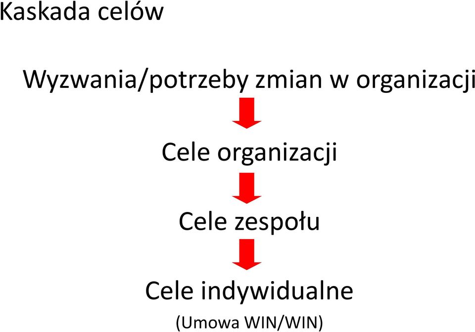 organizacji Cele organizacji