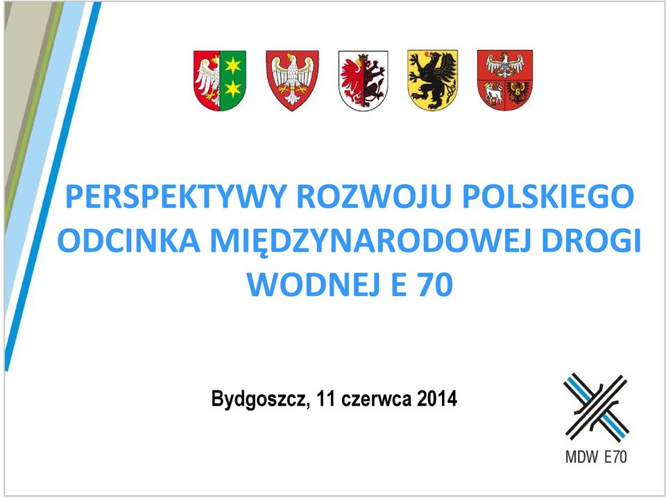 MIĘDZYNARODOWEJ DROGI