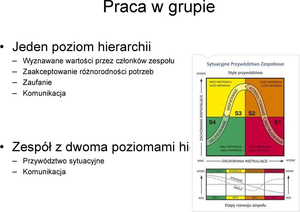różnorodności potrzeb Zaufanie Komunikacja Zespół z