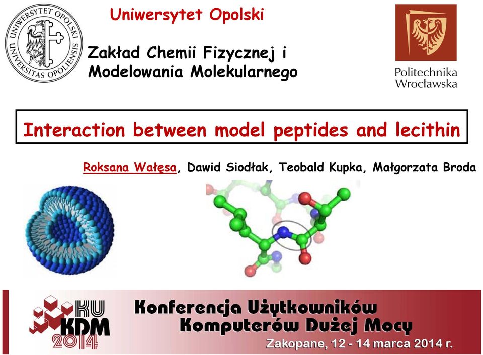 between model peptides and lecithin Roksana