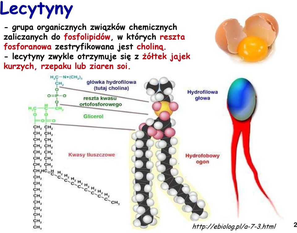 zestryfikowana jest choliną.