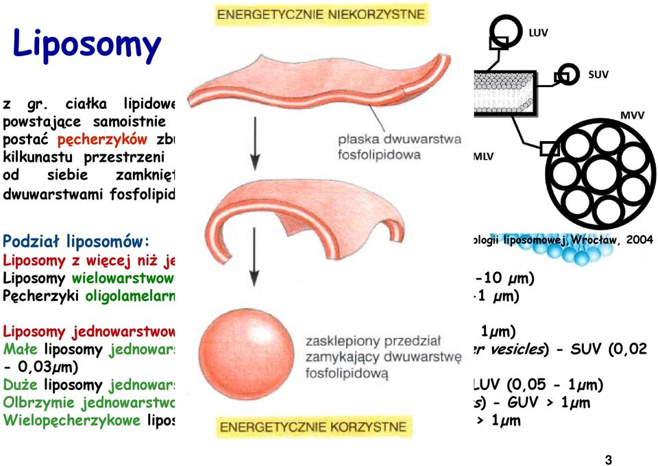 Podział liposomów: Liposomy z więcej niż jedną warstwą lipidową Liposomy wielowarstwowe (ang.multillamellar vesicles) - MLV (0,4-10 µm) Pęcherzyki oligolamelarne (ang.