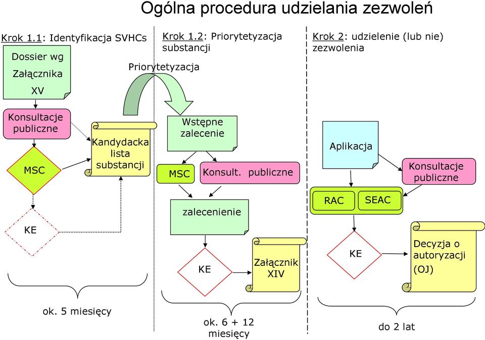 publiczne MSC Kandydacka lista substancji Wstępne zalecenie MSC Konsult.