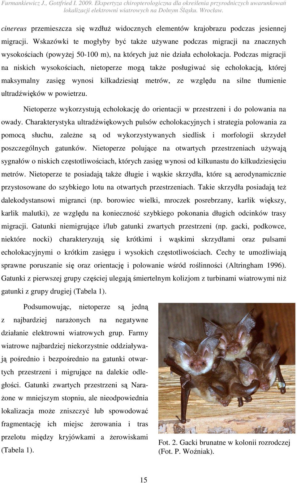Podczas migracji na niskich wysokościach, nietoperze mogą takŝe posługiwać się echolokacją, której maksymalny zasięg wynosi kilkadziesiąt metrów, ze względu na silne tłumienie ultradźwięków w