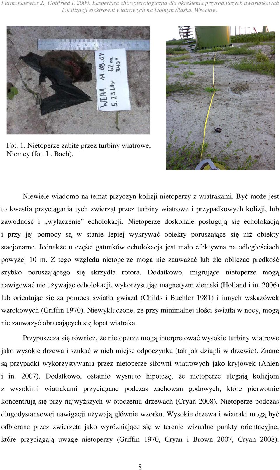 Nietoperze doskonale posługują się echolokacją i przy jej pomocy są w stanie lepiej wykrywać obiekty poruszające się niŝ obiekty stacjonarne.