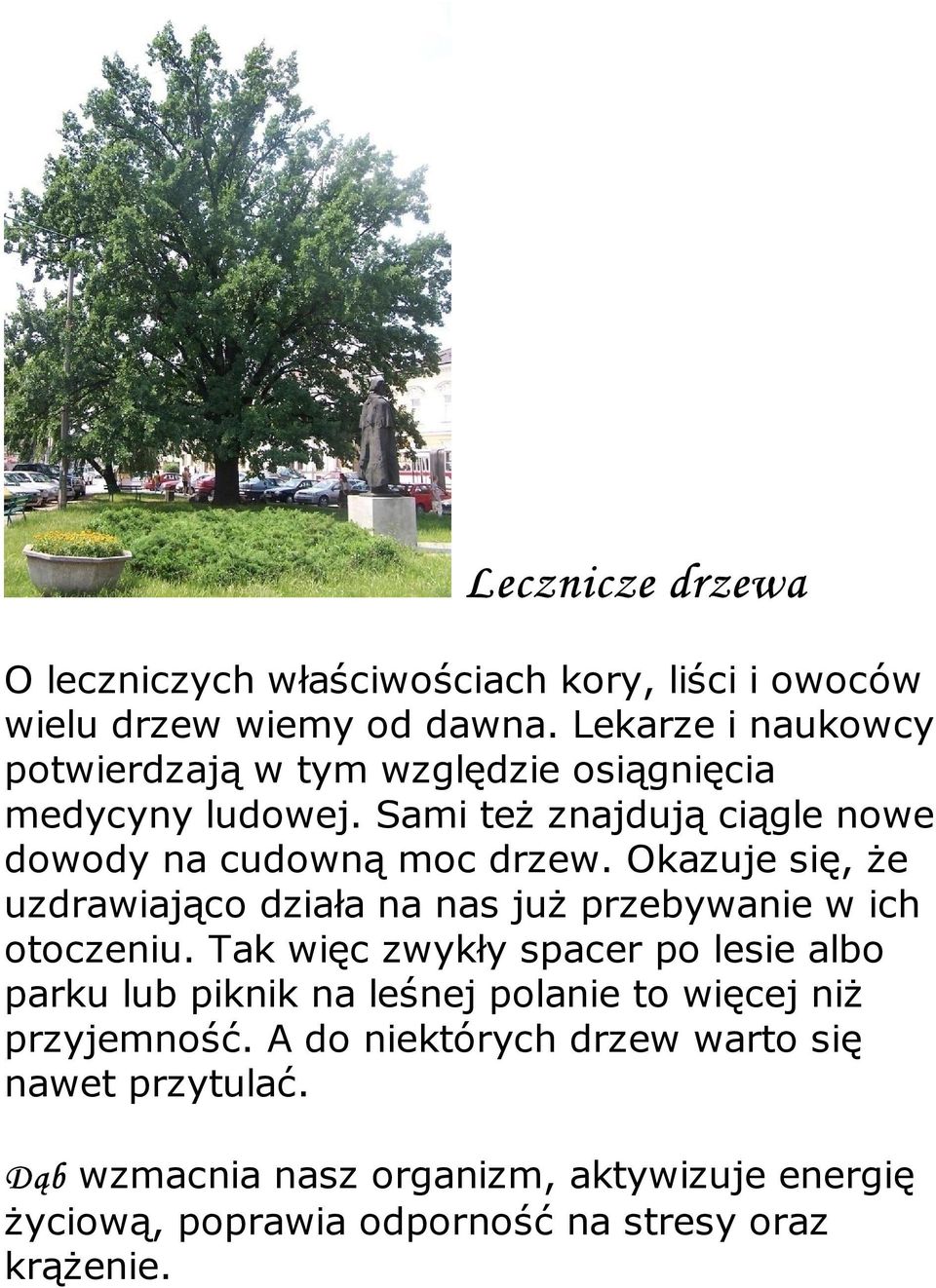 Okazuje się, że uzdrawiająco działa na nas już przebywanie w ich otoczeniu.