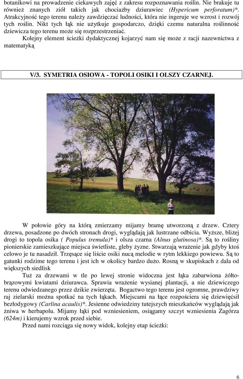 Nikt tych łąk nie użytkuje gospodarczo, dzięki czemu naturalna roślinność dziewicza tego terenu może się rozprzestrzeniać.