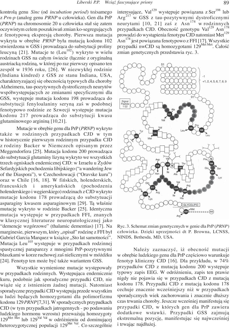 Pierwsza mutacja wykryta w obrêbie PRNP by³a mutacj¹ kodonu 102 stwierdzona w GSS i prowadz¹ca do substytucji proliny leucyn¹ [21].