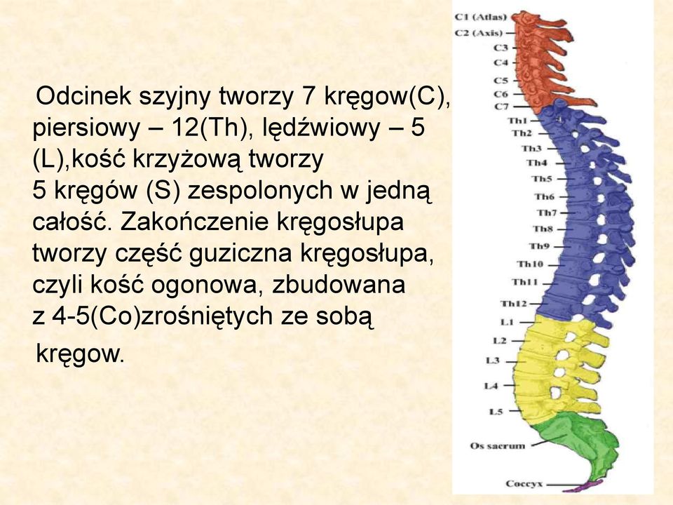 całość.