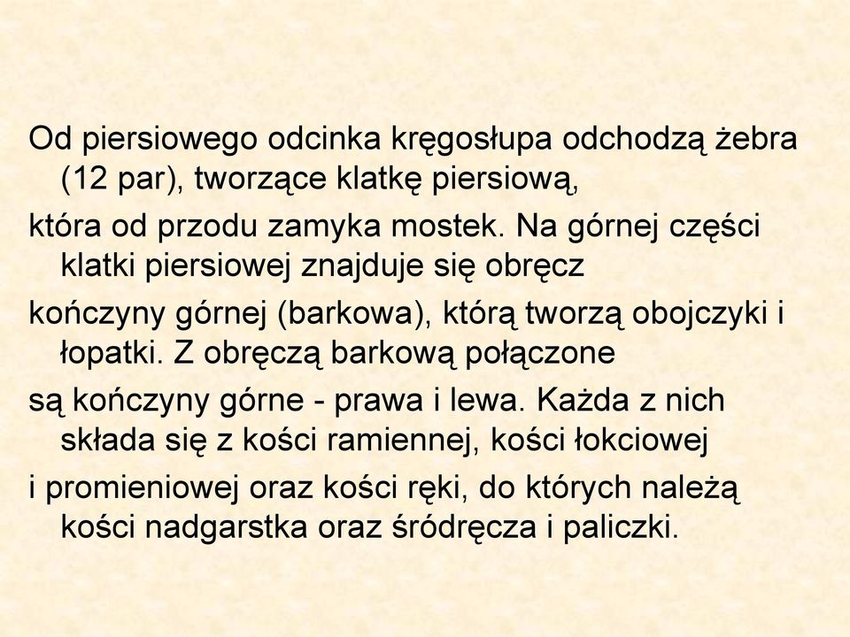 Na górnej części klatki piersiowej znajduje się obręcz kończyny górnej (barkowa), którą tworzą obojczyki i