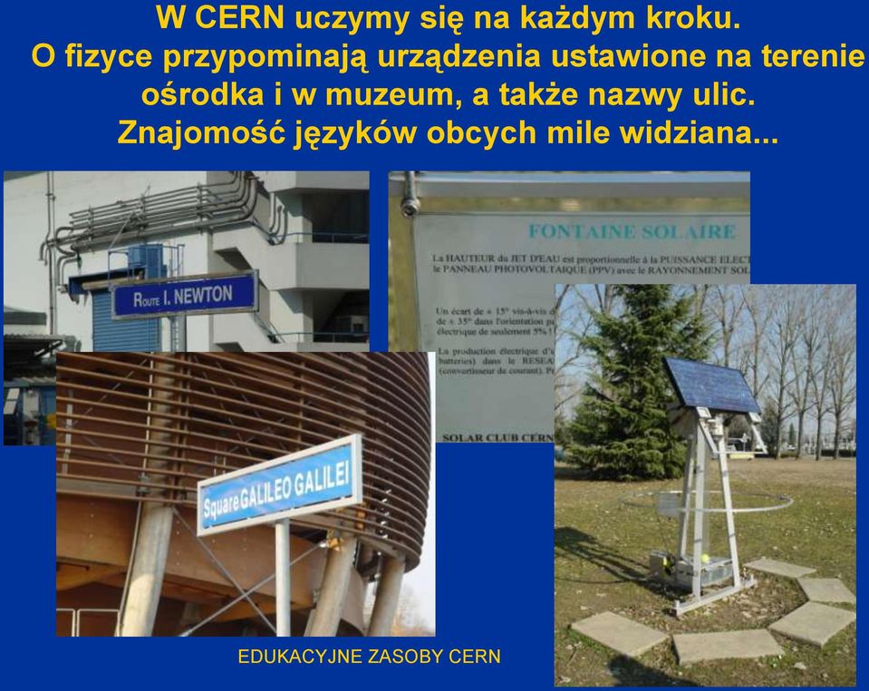 na terenie ośrodka i w muzeum, a także