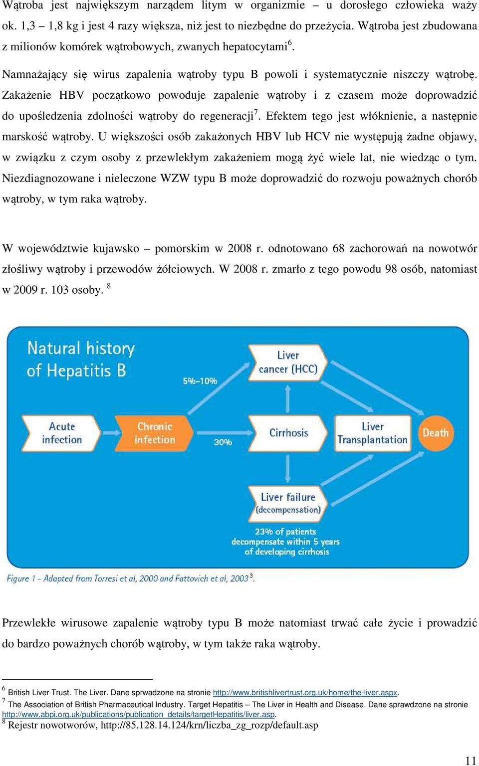 Zakażenie HBV początkowo powoduje zapalenie wątroby i z czasem może doprowadzić do upośledzenia zdolności wątroby do regeneracji 7. Efektem tego jest włóknienie, a następnie marskość wątroby.