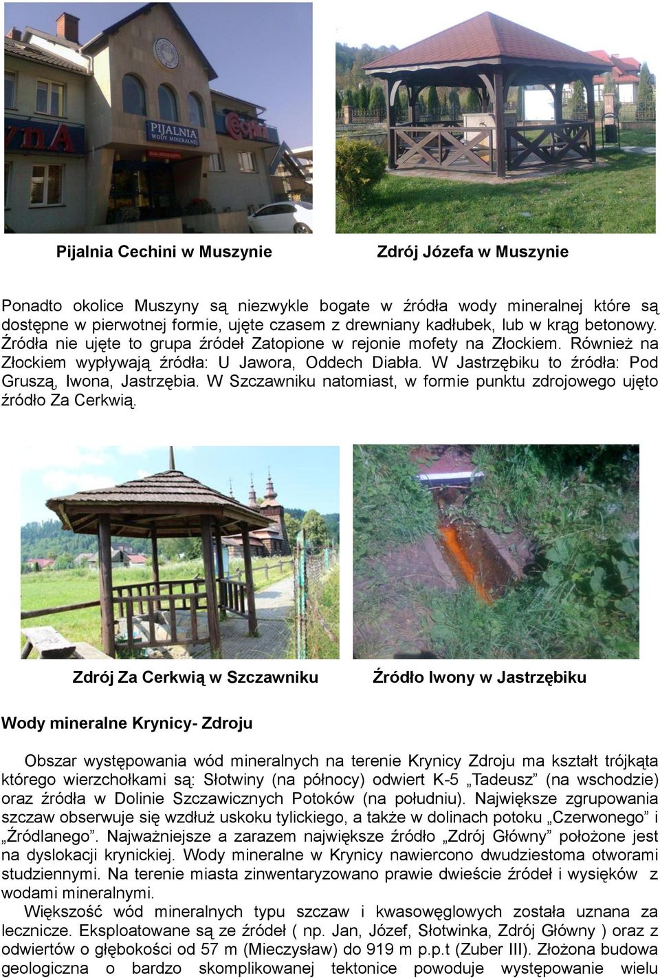 W Jastrzębiku to źródła: Pod Gruszą, Iwona, Jastrzębia. W Szczawniku natomiast, w formie punktu zdrojowego ujęto źródło Za Cerkwią.