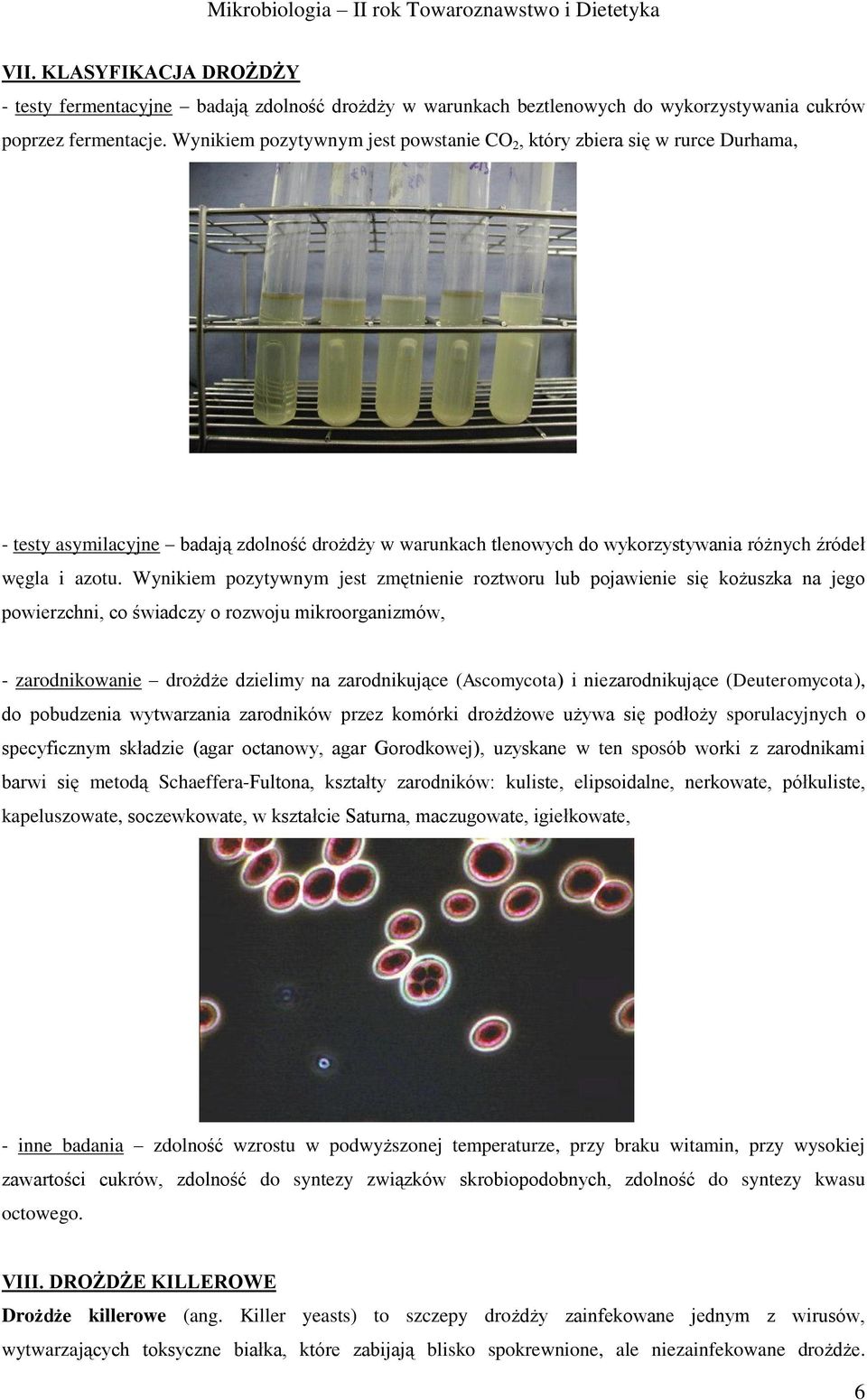 Wynikiem pozytywnym jest zmętnienie roztworu lub pojawienie się kożuszka na jego powierzchni, co świadczy o rozwoju mikroorganizmów, - zarodnikowanie drożdże dzielimy na zarodnikujące (Ascomycota) i