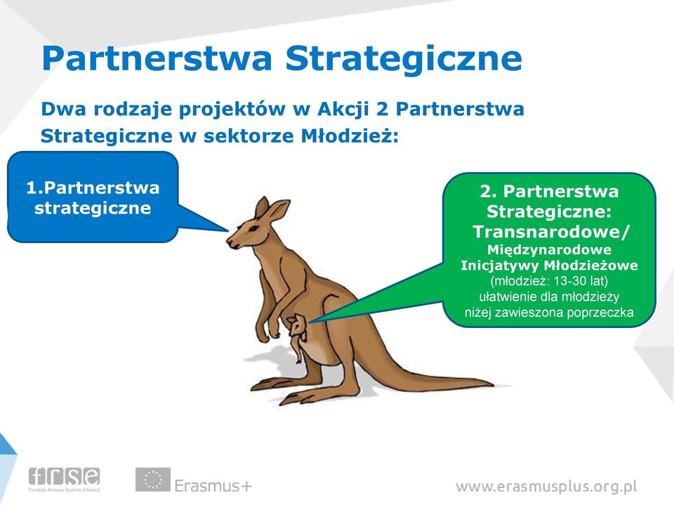 Partnerstwa Strategiczne: Transnarodowe/ Międzynarodowe Inicjatywy