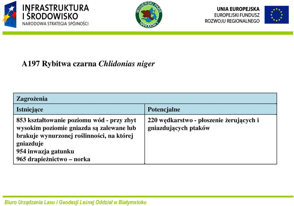 wynurzonej roślinności, na której gniazduje 954 inwazja gatunku 965