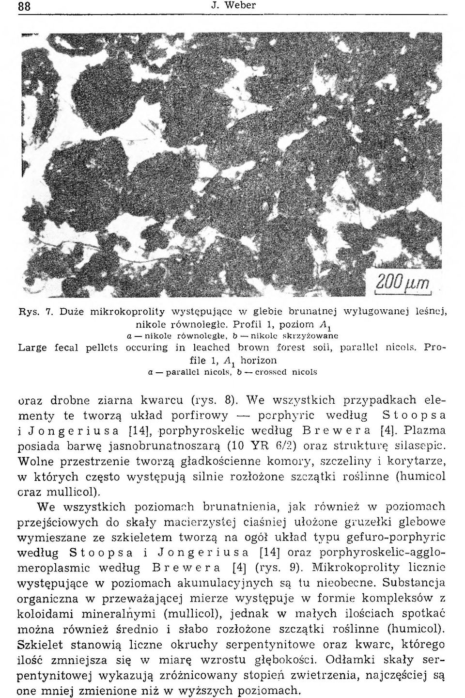 P r o file 1, horizon a parallel nicols, b crossed nicols oraz drobne ziarna kwarcu (rys. 8).