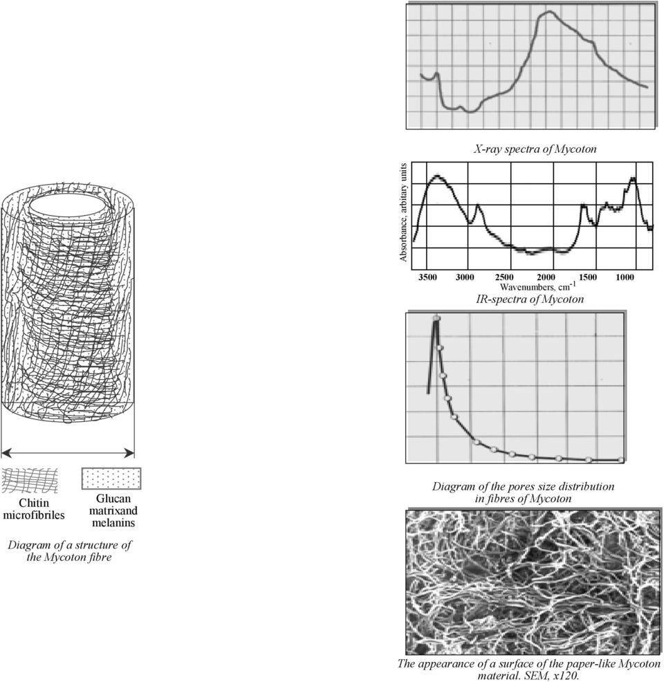 melanins Diagram of the pores size distribution in fibres of Mycoton Diagram of a
