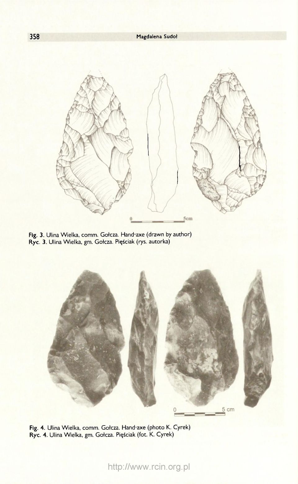 Pięściak (rys. autorka) Fig. 4. Ulina Wielka, comm. Gołcza.