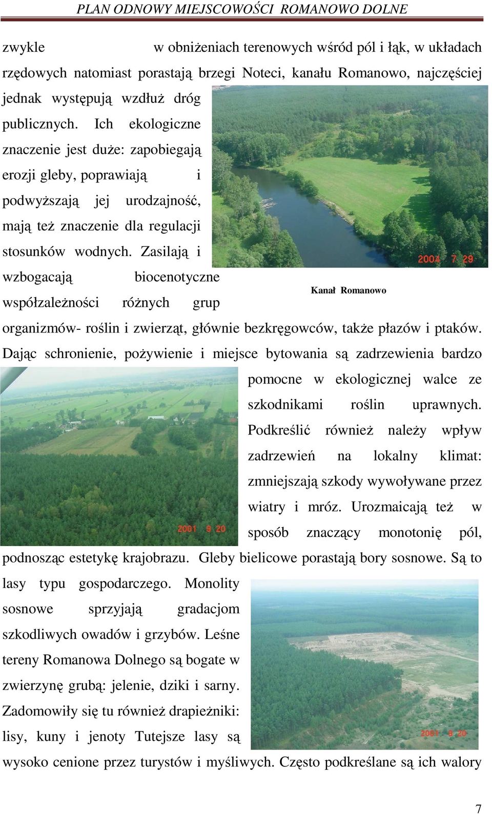 Zasilają i wzbogacają biocenotyczne współzaleŝności róŝnych grup Kanał Romanowo organizmów- roślin i zwierząt, głównie bezkręgowców, takŝe płazów i ptaków.