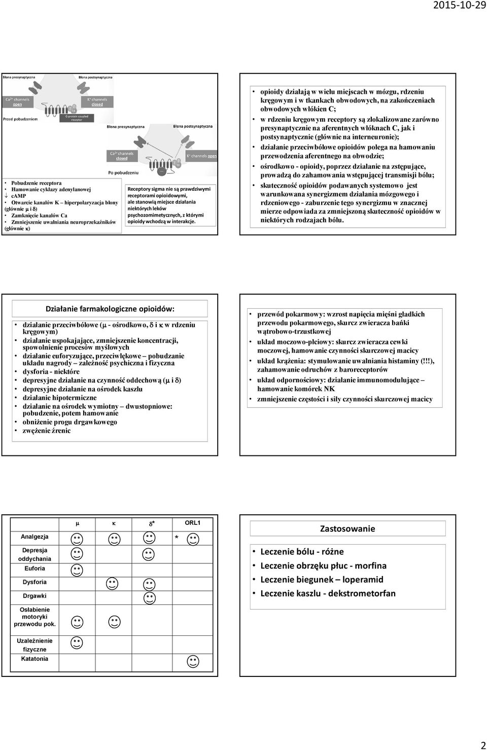 opioidy działają w wielu miejscach w mózgu, rdzeniu kręgowym i w tkankach obwodowych, na zakończeniach obwodowych włókien C; w rdzeniu kręgowym receptory są zlokalizowane zarówno presynaptycznie na