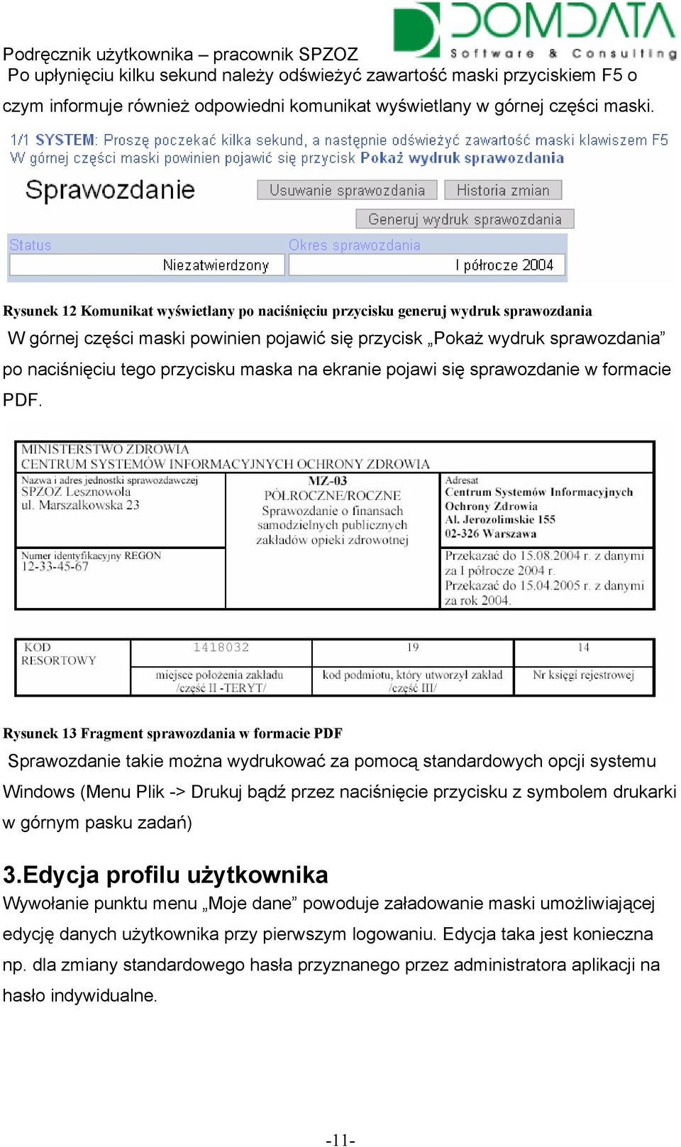 na ekranie pojawi się sprawozdanie w formacie PDF.